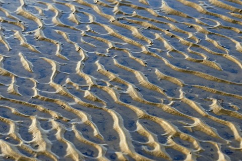 North Sea, Wadden Sea at low tide, wave-like structure, current ripples, Norddeich, Lower Saxony,