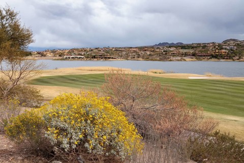 Colorful desert landscaping on a golf course along the shoreline of Las Vegas Wash at Lake Las