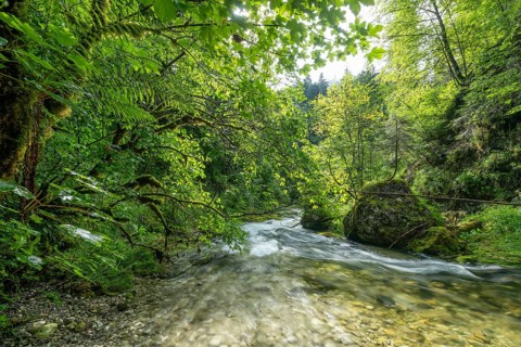 Wild and romantic Weißbach Gorge near Inzell