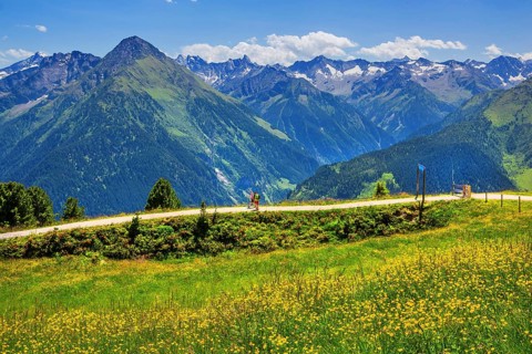 Hiking trail on the Penken, Mayrhofen, Zillertal, Zillertal Alps, Tyrol, Austria