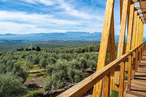 Wooden viewing platform, city Ubeda, view over endless olive tree fields to distant mountains,