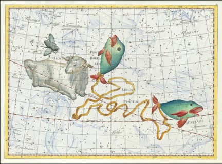 Zodiac sign, Aries, southern fish, Borealis, Linum piscium, star chart, universe, astrology,