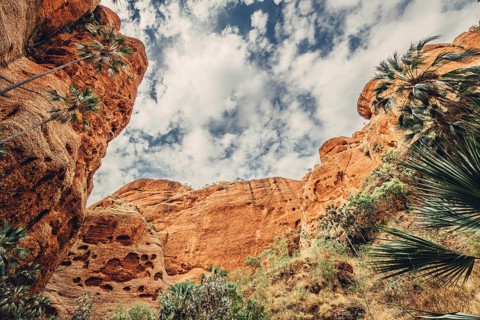 Bungle Bungles in Australia in the Outback, Australia