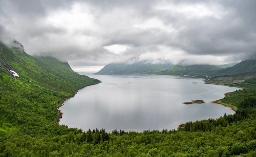 Cloudy fjord landscape with forest, Senja Island, Norway