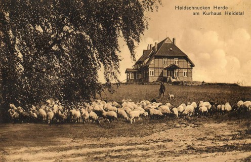 Historical postcard, picture postcard, Heidschnucken herd at the spa hotel Heidetal, Lower Saxony,