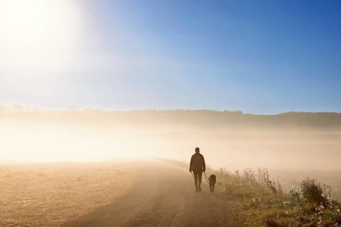 One person walking the dog on a gravel road with morning fog in a rural landscape in autumn
