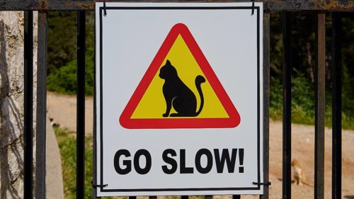 Traffic sign with cat and message 'Go Slow!' in a frame, Kalithea, cat station, Rhodes, Dodecanese,
