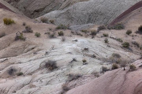Colorful deposits of the Chinle Formation exposed at Little Painted Desert County Park near