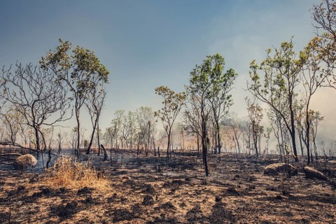 Bushfires in the Australian outback