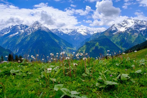 Penken, Mayrhofen, Zillertal, Tyrol, Austria