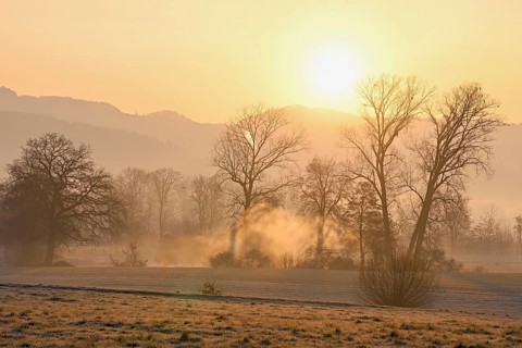 Meadows and trees in the early morning mist in the light of the rising sun, Reusstal, Aristau,