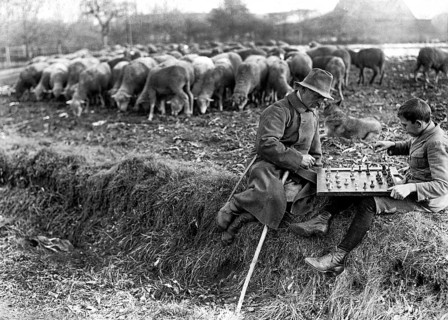 Shepherd playing chess with boys, ca. 1920, Two shepherds playing chess on a field, surrounded by a