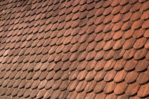 Red shingle roof, house roof, detail, Steyr, Upper Austria, Austria