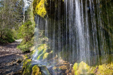 Dietfurt Waterfall, a moss waterfall in the Wutach Gorge, Black Forest, Baden-Württemberg, Germany