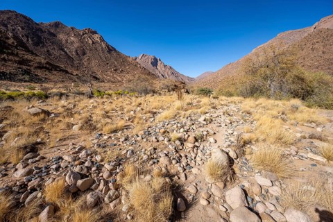 Tsisab Gorge, White Lady Trail, desert landscape, Brandberg, Erongo, Damaraland, Namibia