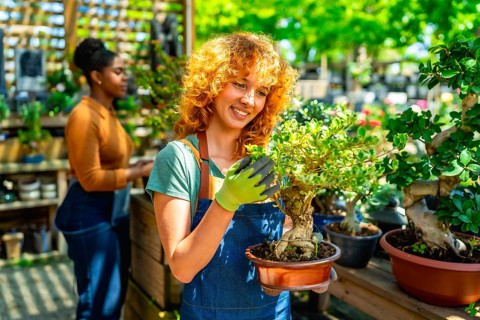 Redhead gardener wearing gloves holding a bonsai tree in a terracotta pot, smiling, in a plant