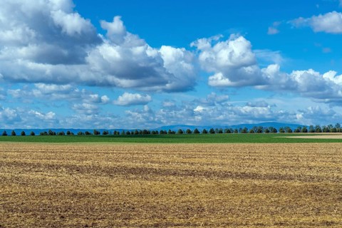 Saxony-Anhalt, Brocken, summit, Harz, northern Germany, weather, cumulus, field, agriculture, tree