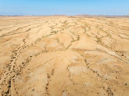 Arid desert plain and dried-up river beds with sparse vegetation. Aerial view. Drone shot. Gondwana