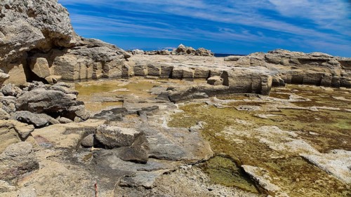 Rocks and seaweed on the coast under a clear sky, Oasis Beach, East Coast Rhodes, Rhodes,