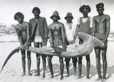 Six arborigines posing with a captured adult scalloped hammerhead shark, (Sphyrna lewini) 1930,