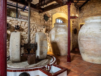 Museo del Aceite, olive oil museum and shop, village Cabra, Andalusia, Spain