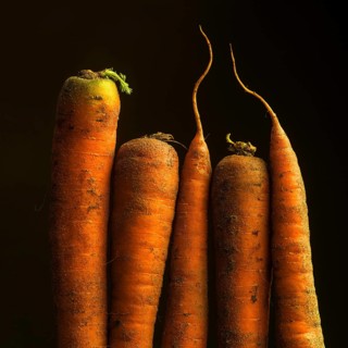 Five vibrant orange carrots, with earthy textures, are displayed together. The organic shapes