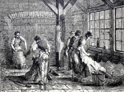 Leather processing, the hair removal and removal of the meat parts from the animal skins by means