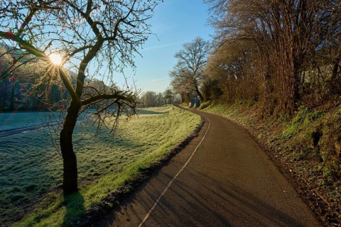 Lonely path lined with trees, illuminated by the low morning sun, Kirchzell, Amorbach, Odenwald,