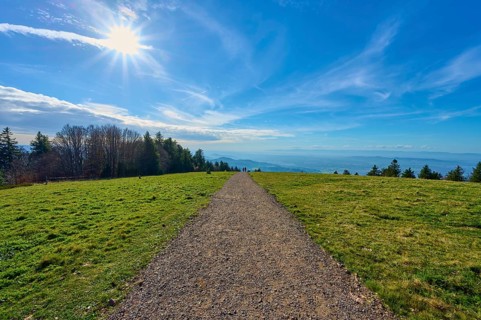 Kandel Höhenweg through a green meadow under bright sunshine with a wide view, Kandel, Waldkirch,