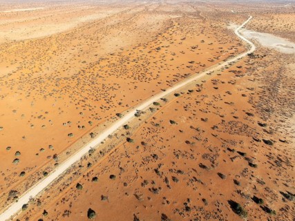 Gravel road in the Kalahari Desert with its linear sand dunes grown with camelthorn trees