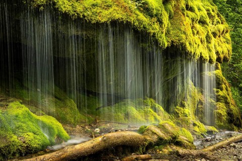 The Dietfurt waterfall, moss and stones, long exposure, Wutach Gorge, Black Forest,