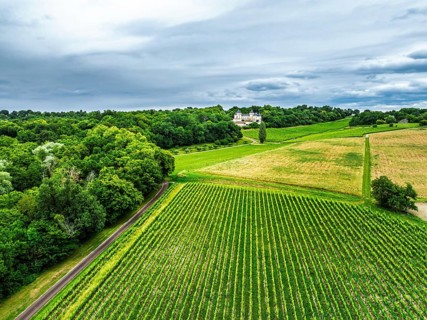Castle of La Riviere, Vineyard Chateau de La Riviere from a drone, Bordeaux, France