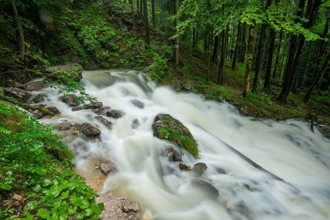 Roaring Weissbach with the waterhole. The Weissbach spring after heavy rain near Inzell in the Alps
