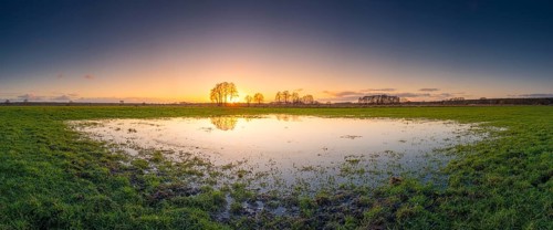 View of a puddle on a meadow at sunset, landscape photo, nature photo, flora, fauna, landscape