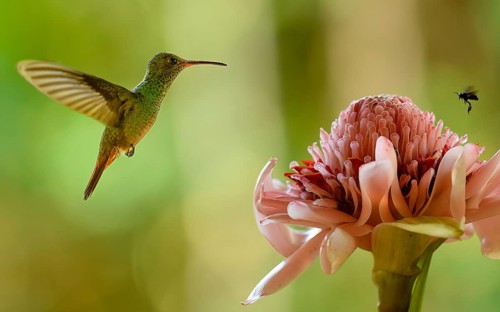 Naturfotografie Sylvia & Olaf Rentzsch