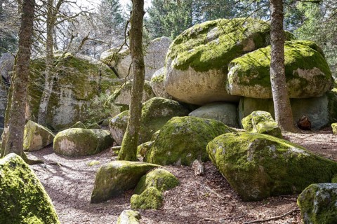 Granite rock Günterfelsen near the source of the Danube, Furtwangen in the Black Forest,