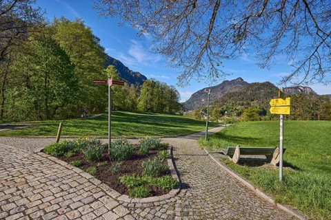 Mountain landscape, mountains, hills, forest, footpath, cobblestones, signposts, flowerbed, trees,