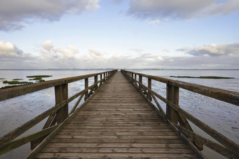 Wooden walkway in the Wadden Sea, Wadden Sea National Park, North Frisia, Schleswig-Holstein,