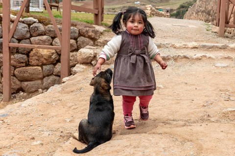 Girl with dog, Chinchero, Sacred Valley, Peru