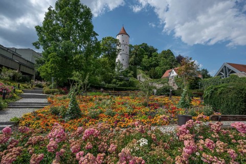 White tower on the Gigelberg, flowerbeds in front, Biberach an der Riß, Baden-Württemberg, Germany