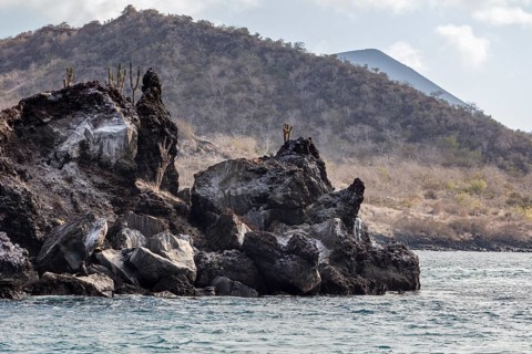 Coast, Galapagos, Ecuador