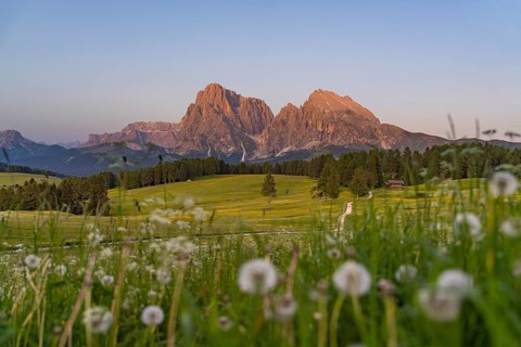 Gently illuminated mountain peaks in front of a wide summer meadow at dusk, Sassolungo Group, Alpe