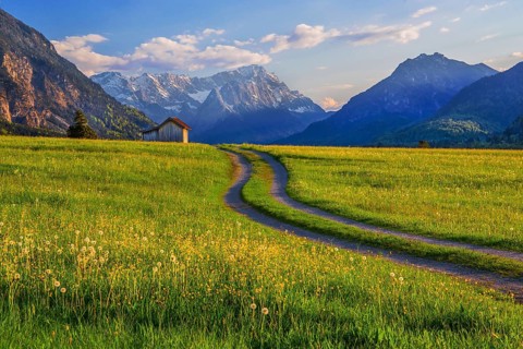 Spring meadow with the Zugspitzgruppe 2962m in the evening sun, Eschenlohe, Wetterstein range,