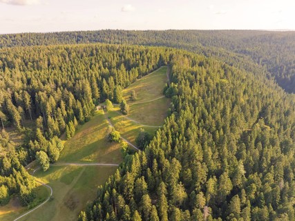 Overview of extensive slopes and forests in the soft light of day, Retro Freizeitpark Poppeltal