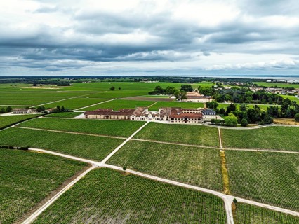 Chateau Pontet-Canet Vineyard and grape fields around Pauillac and Gironde Estuary from a drone,