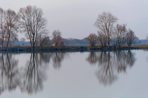 Evening mood at Moosinninger Weiher, quarry pond, fishing pond for carp, reflection of the trees on