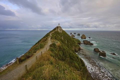A lonely lighthouse on a green headland, surrounded by rocks in the sea, summer, Nugget Point
