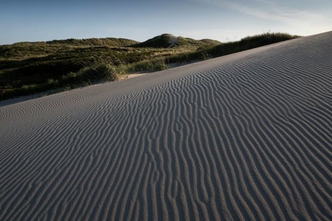 Dunes, wind-sculpted wave patterns in the sand, standing grass, dune landscape, holiday settlement,