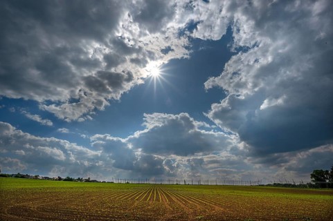 Wheat and hop cultivation, cloudy sky with sun, Franconia, Bavaria, Germany