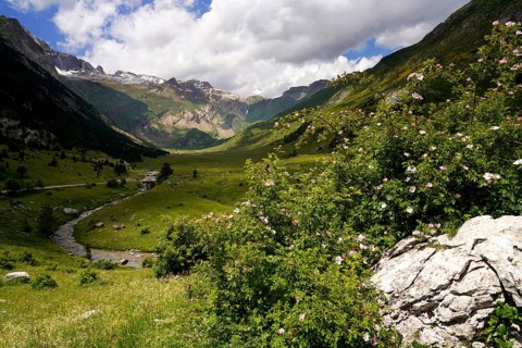 Mountain landscape in the Valle de Otal near Torla-Ordesa, Spain